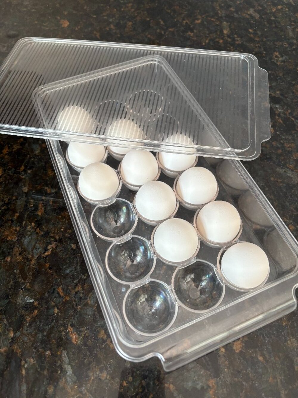Fridge Binz 18 Egg Holder in Clear